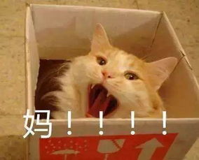 齐齐教丨一个妈妈的暑假扎心总结我太太太太太太太太难了