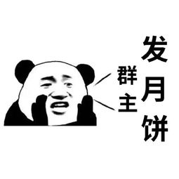 一波很实用的表情包