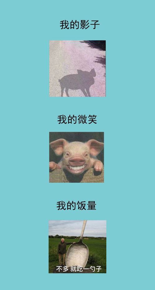 我的2019年终总结,活成一套表情包长图,建议收藏慢慢看