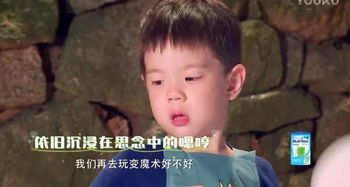 南都全娱乐