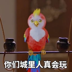 苍梧鸟带字图片表情包最新版电脑客户端版雷达下载