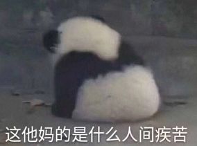只要5块钱,我就能买到你的一切