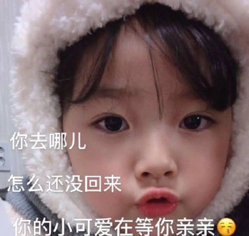 2019年度热门表情包,这些你都收藏了吗