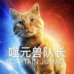 惊奇队长橘猫噬元兽表情包分享