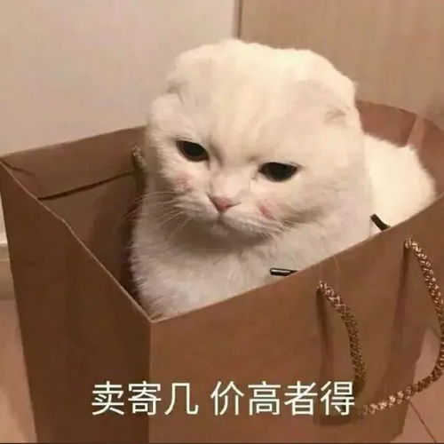 考研如果复试时太紧张,遇到不会的问题只能凉了吗这些技巧收下