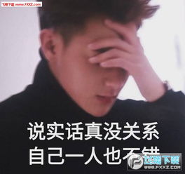 谈判官谢晓飞表情图片下载谈判官谢晓飞表情包完整版下载飞翔下载