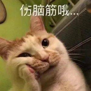 开心驿站丨如果你细细去看,生活处处是喜剧