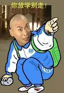 石家庄市青年犯罪团伙成立龙门帮害人,被新华分局刑警铲除
