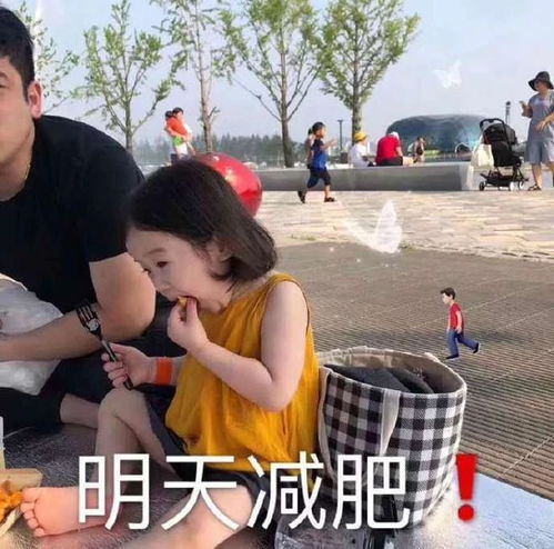 微信表情包图片聊天撩人斗图常用
