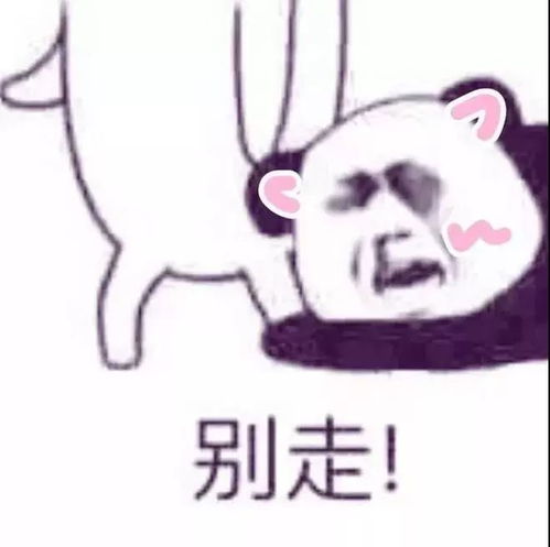 有生之年都想用的表情包情侣头像