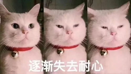 冷空气预告最近发生了一件奇怪的事