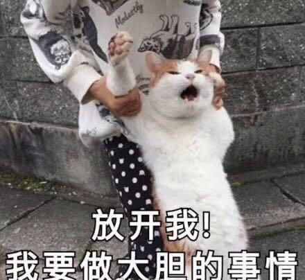 我郑玉歆了