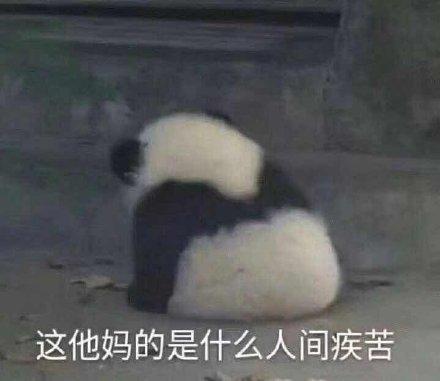 表情包我偷小鱼干养你
