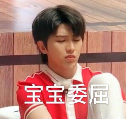 百看不厌蔡小葵表情包