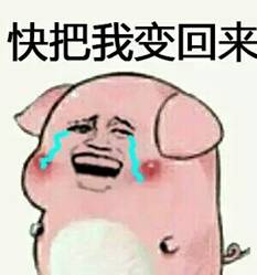 四川小伙伴今早又被地震叫醒
