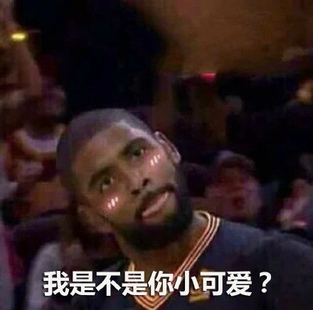 nba总决赛表情包