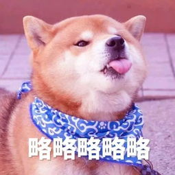 新品首发倒计时1天,你准备好了吗