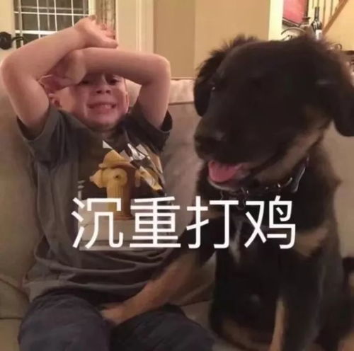 注意了抚顺春节假期天气大反转