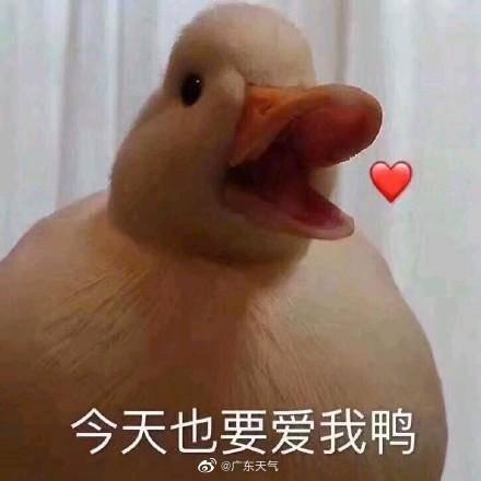 广东早间预报