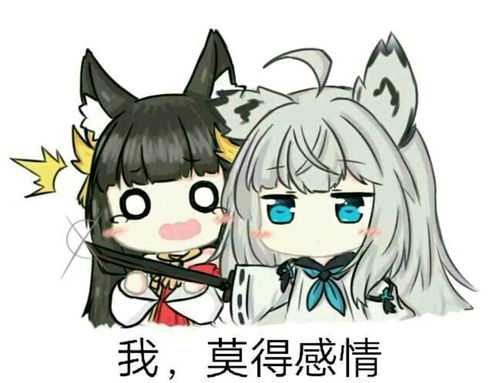今日表情包