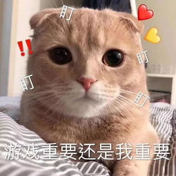 电竞少女必存的100张表情包第六弹