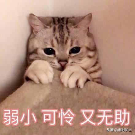 当最穷的年底遇到最招财的怪兽,这部电影有意思了