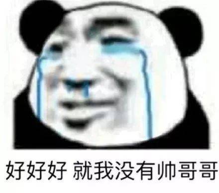 日常搞笑熊猫头表情包