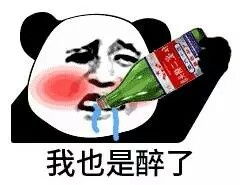 熊猫喝酒我也是醉了表情包图片喝最烈的酒干杯表情包图片下载乐游网游戏下载