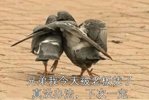 如何用一句话把老板送走以上厕所碰见老板为例