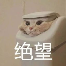 今晚开始全澳警察倾巢出动,10天炼狱式严打最高罚4000倾家荡产,吊销驾照颤抖吧澳洲人