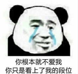 王者荣耀表情包启动你根本不爱我你只是看上了我的段位