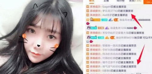 一条小团团最新表情包出炉意外从椅子跌落太令人心疼了吧