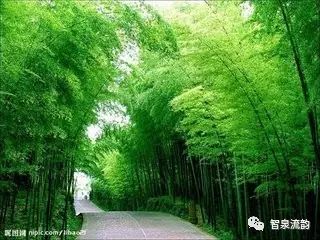 郭进拴万亩百果甜