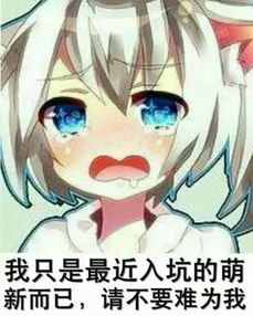 新群求人