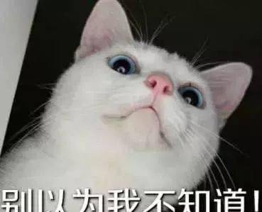 猫咪舔jio被主人发现,反应过来后看主人表情亮了你也来口