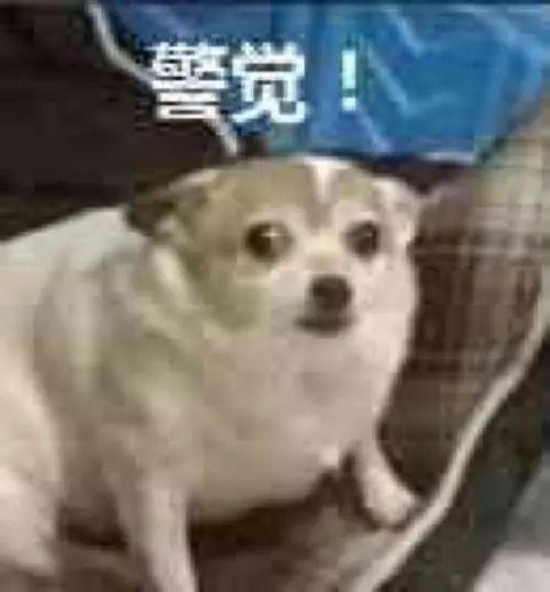 毕业找工作的你不得不看的租房指南