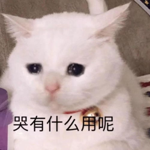 直播间没有人怎么办
