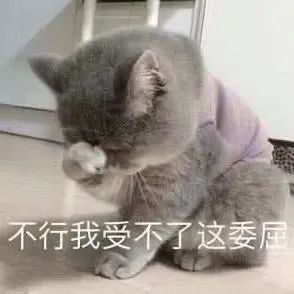 表情包委屈小猫头