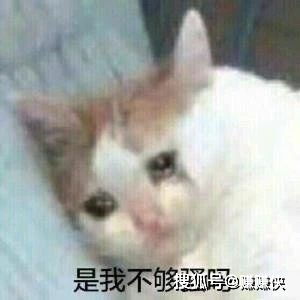 撩骚表情包人不好色,好什么
