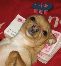 爆笑gif图这个推拿器怎么这么像枕头,我可以睡