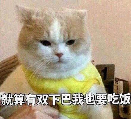不骗你米饭这样吃,热量更低,还能帮你减肥瘦肚子