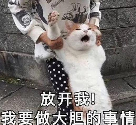 深圳00后小伙凭借一身帅气制服,骗保洁阿姨积蓄出国旅游