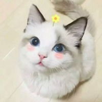超好玩的微信头像图片微信头像图片大全