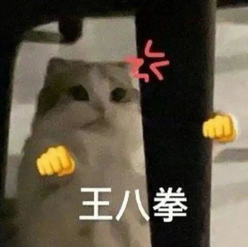 好了闭嘴丨第814期喵表情包