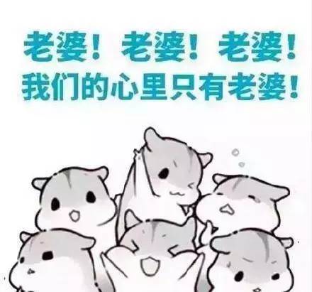 爱工作表情包老婆
