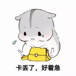 攻略解锁校园卡的n1个用法