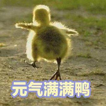 同花顺圈子寻找真正的炒股高手