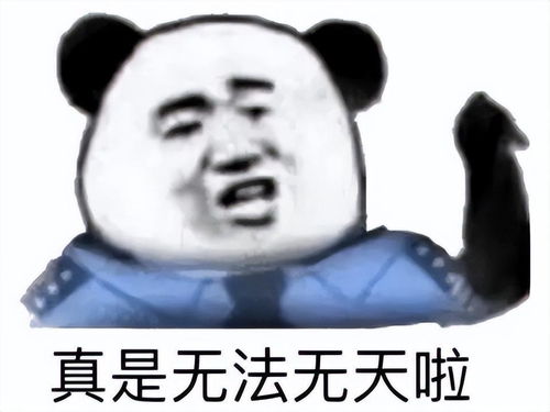 我对女人不感兴趣表情包往后余生
