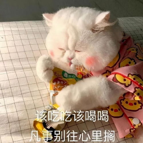 沙雕表情包起太早我会心情不好