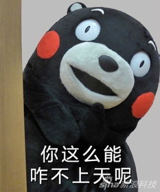 九州加油熊本不哭看那些年熊本萌萌的表情包